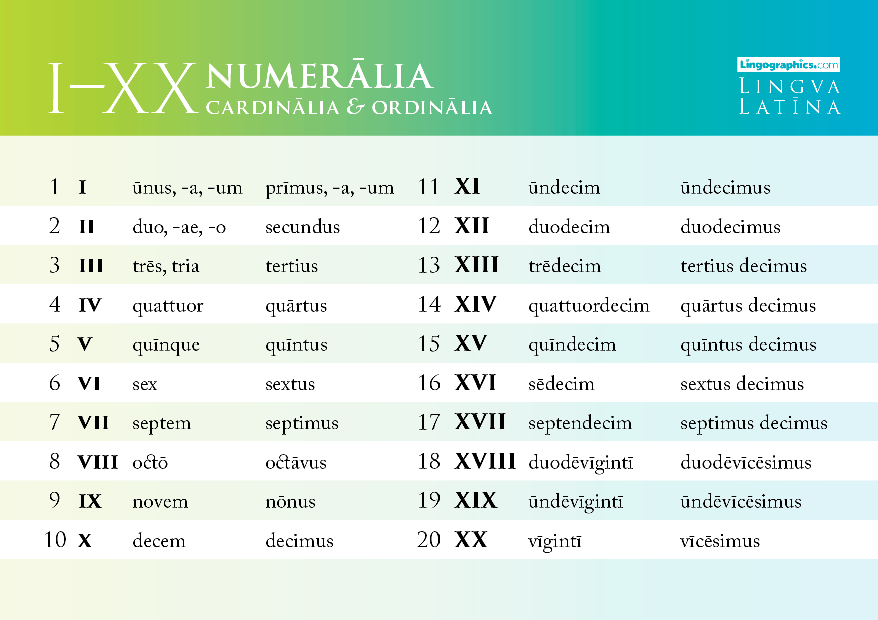 Latin Numerals 1 20 Lingographics