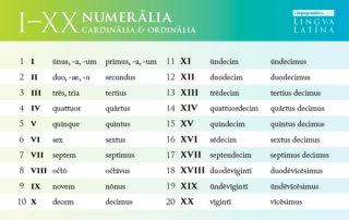 numbers in latin