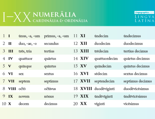 Latin Numerals 1-20