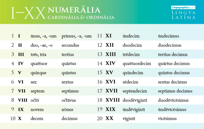 numbers in latin