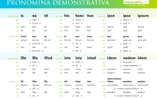 demonstrative pronouns in latin – declension